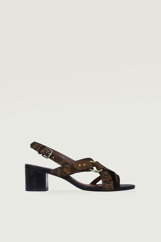 SANDALES FLORENTINE PYTHON